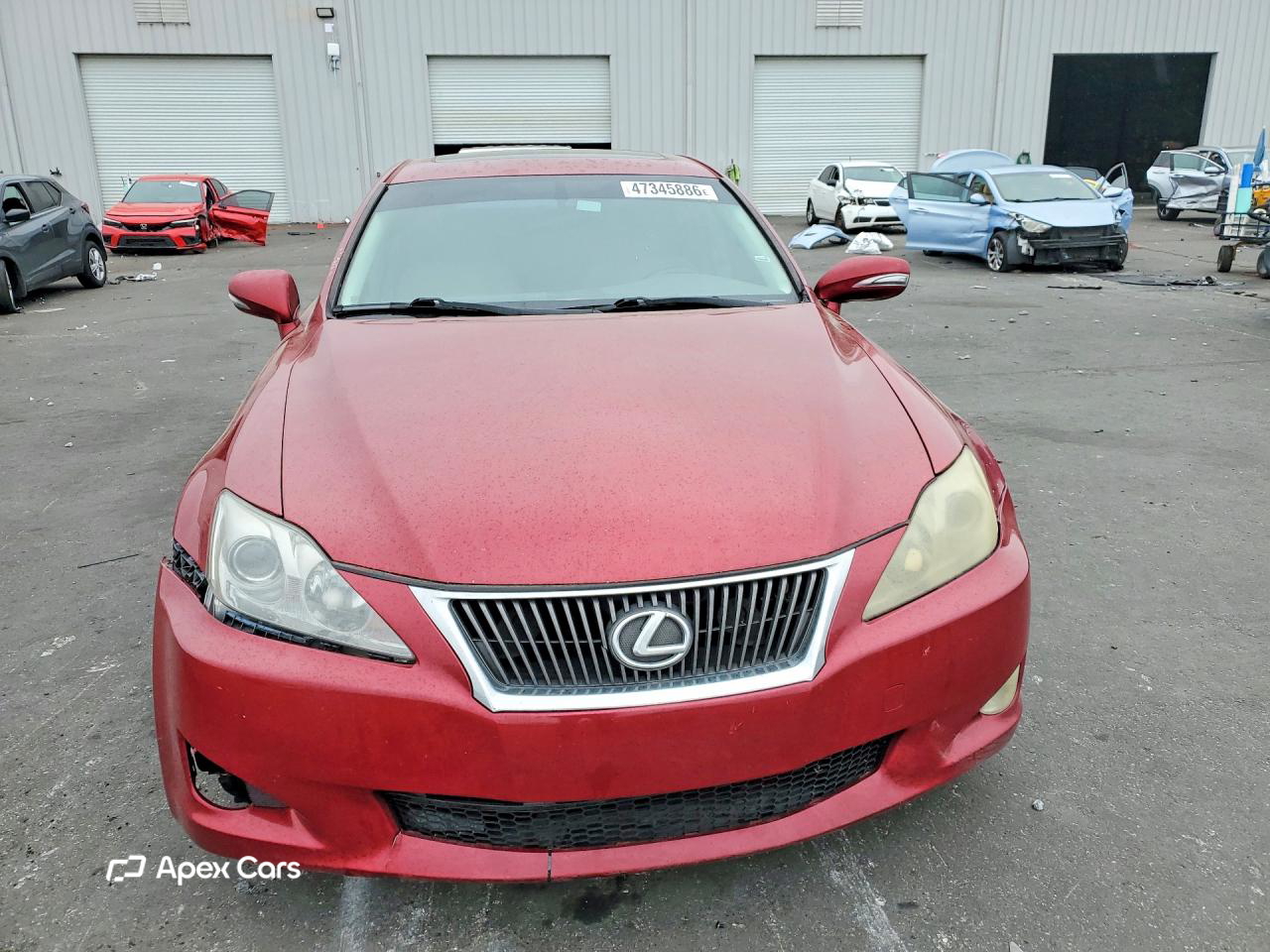 Lexus IS 2010
