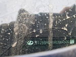 Lexus RX 2024