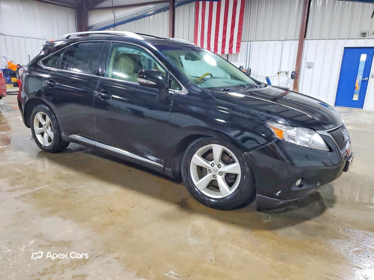 Lexus RX 2010
