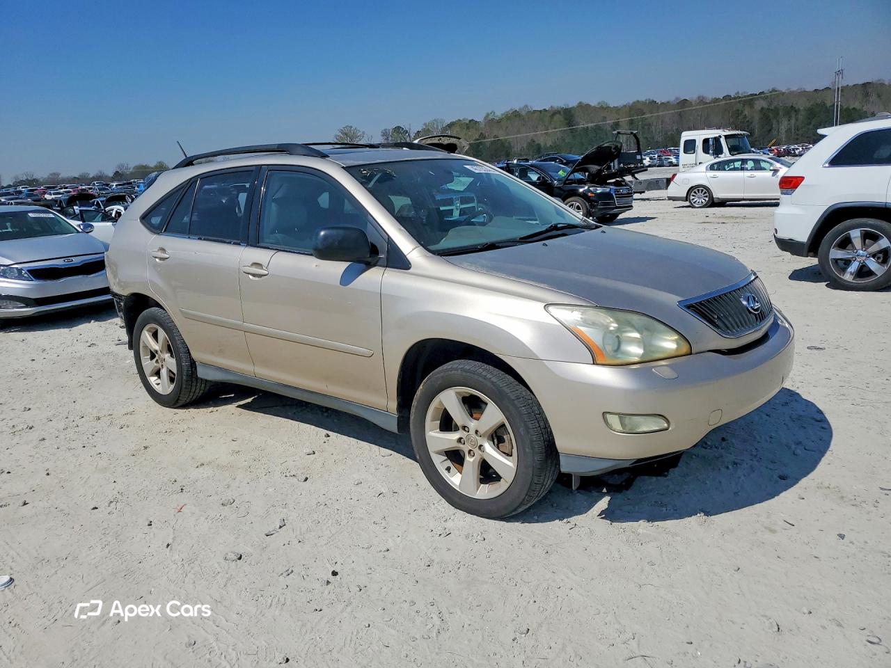 Lexus RX 2004