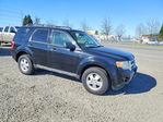 Ford Escape 2010