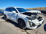 Cadillac XT6 2020