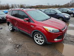 Ford Escape 2013