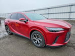 Lexus RX 2024
