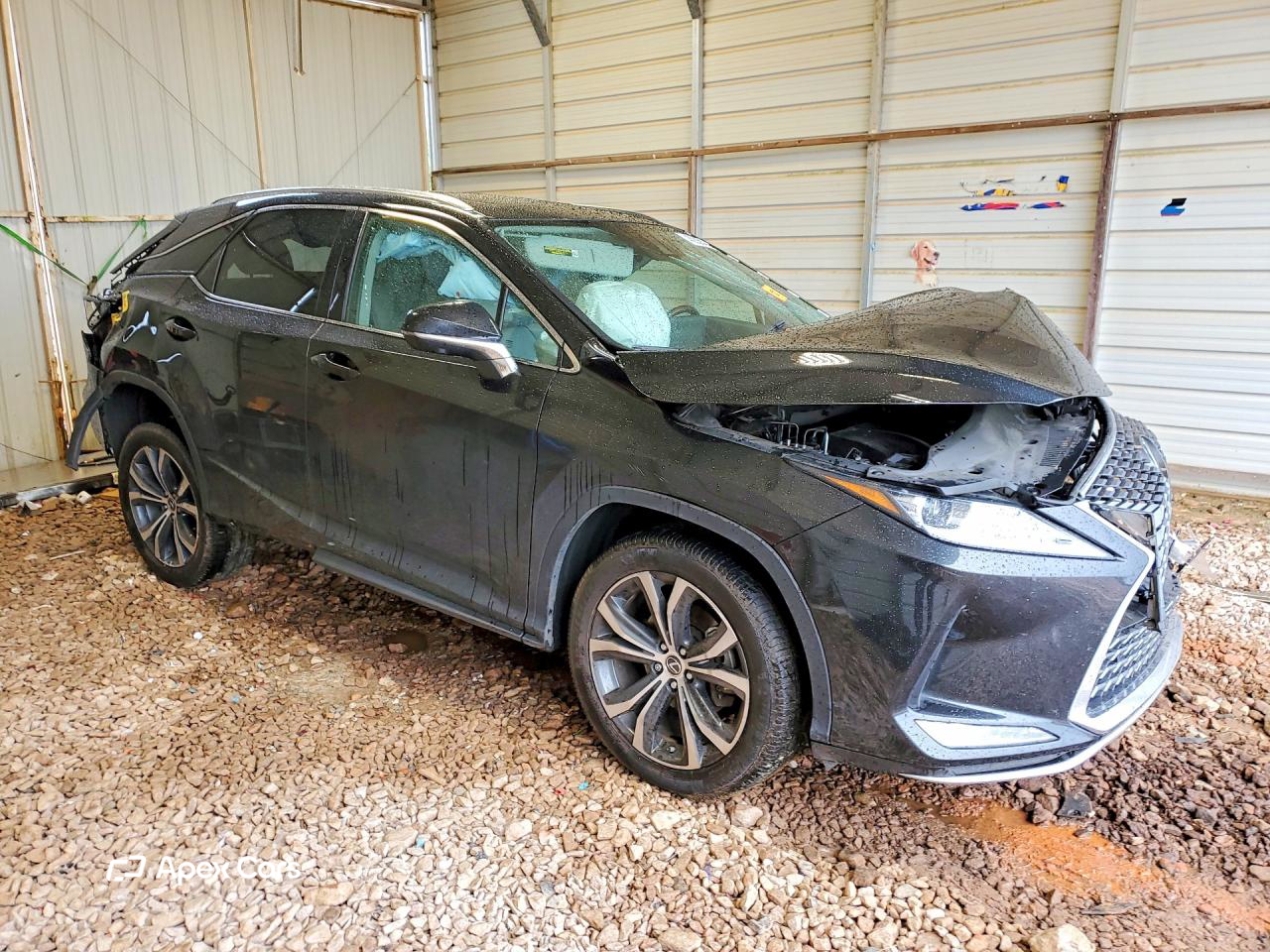 Lexus RX 2022