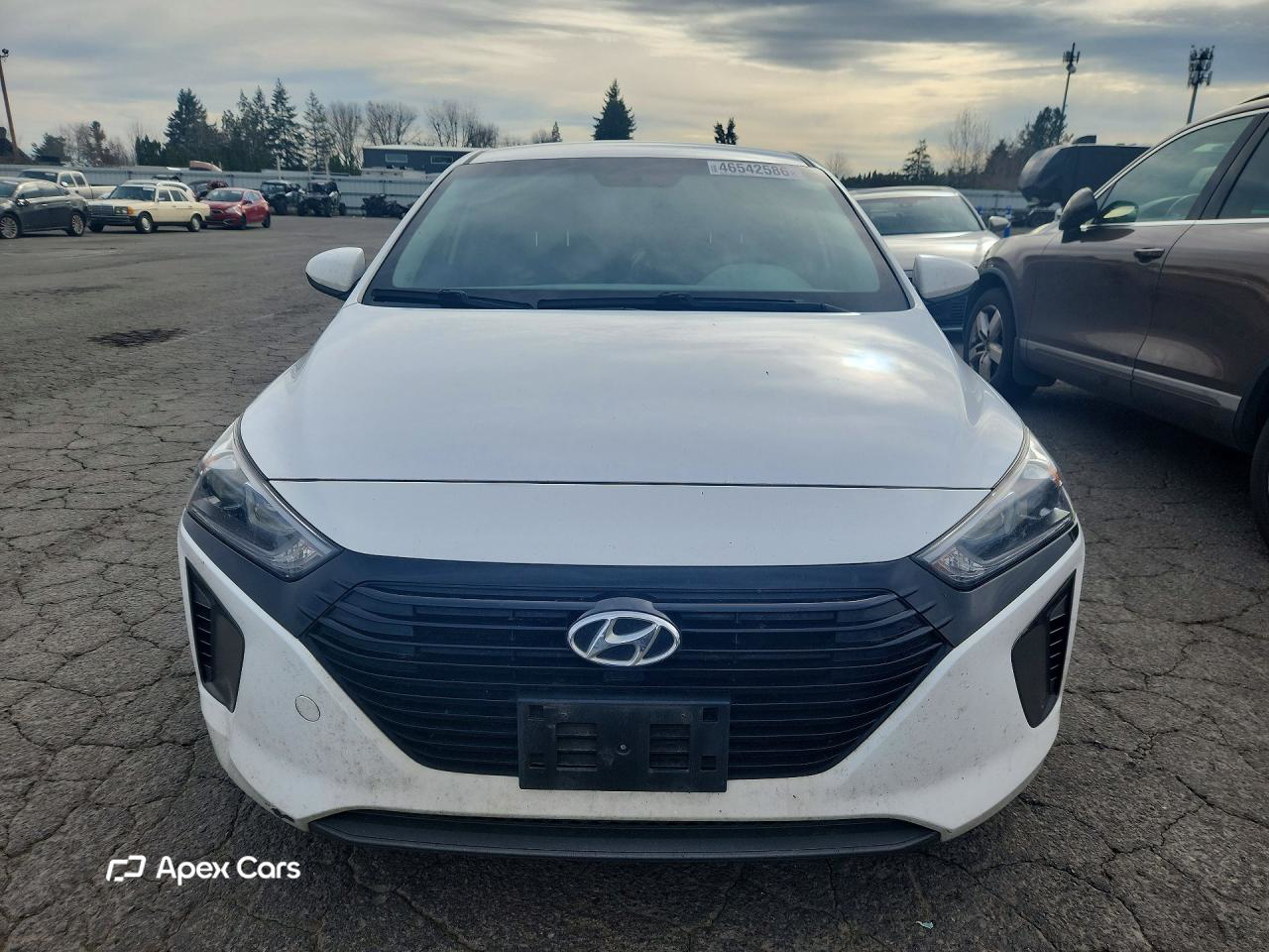 Hyundai IONIQ 2019