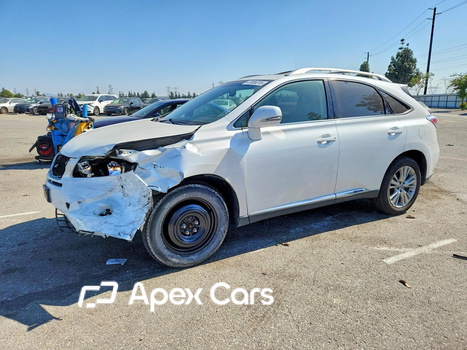 Lexus RX 2012 - Zdjęcie 1 z 15
