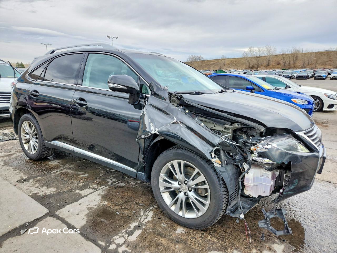 Lexus RX 2014