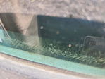 Dodge Dakota 2005