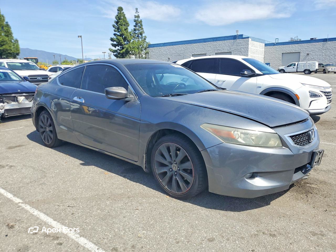 Honda Accord 2010