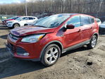 Ford Escape 2014