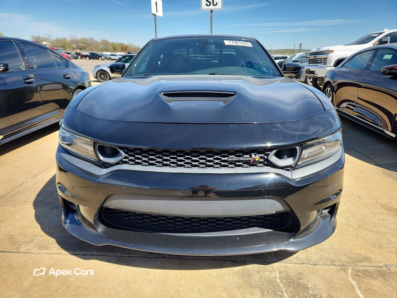 Dodge Charger 2019
