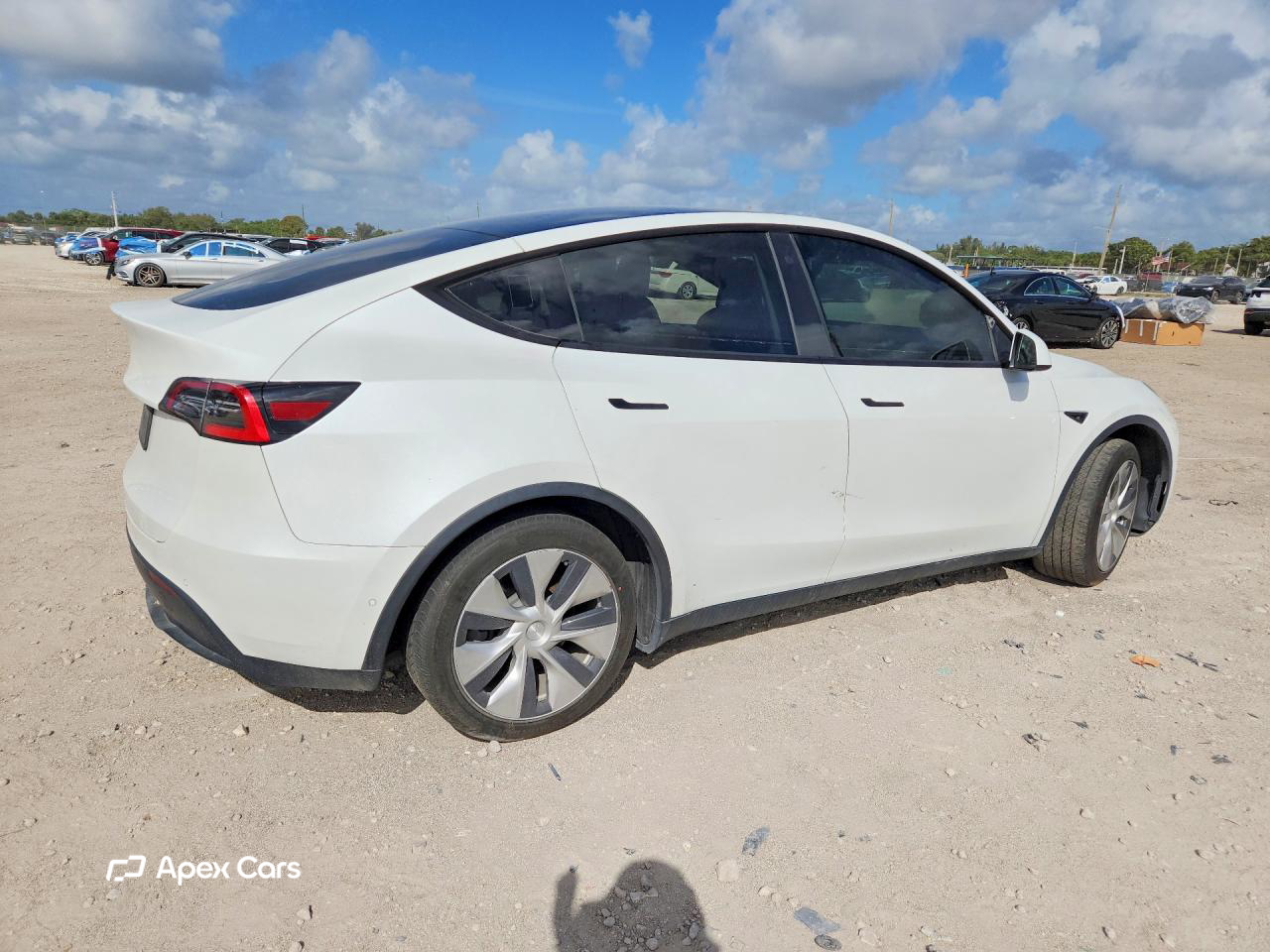 Tesla Model Y 2021