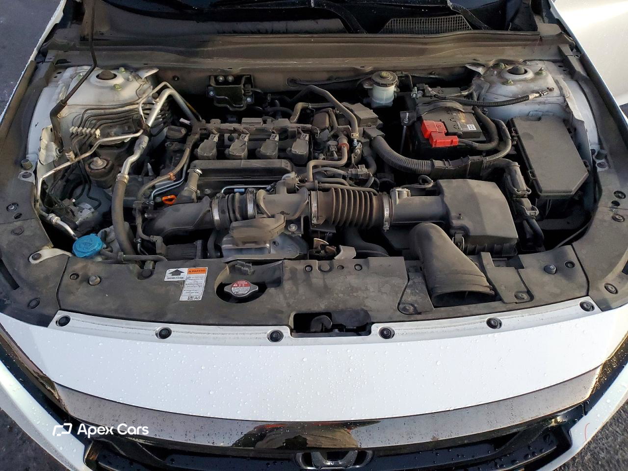 Honda Accord 2021