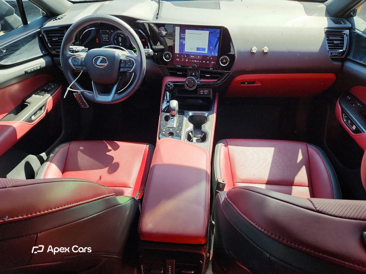 Lexus NX 2024