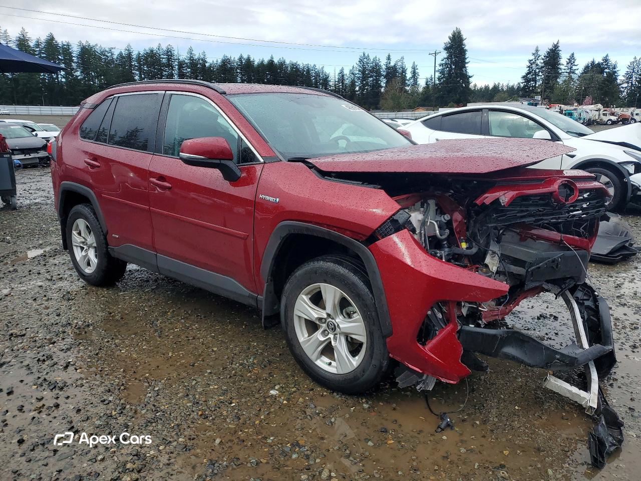 Toyota RAV 4 2020