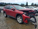 Toyota RAV 4 2020