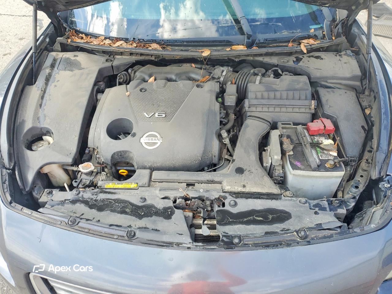 Nissan Maxima 2012