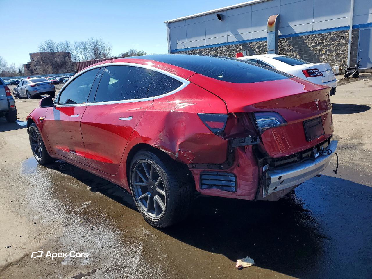 Tesla Model 3 2019