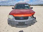Ford Escape 2007