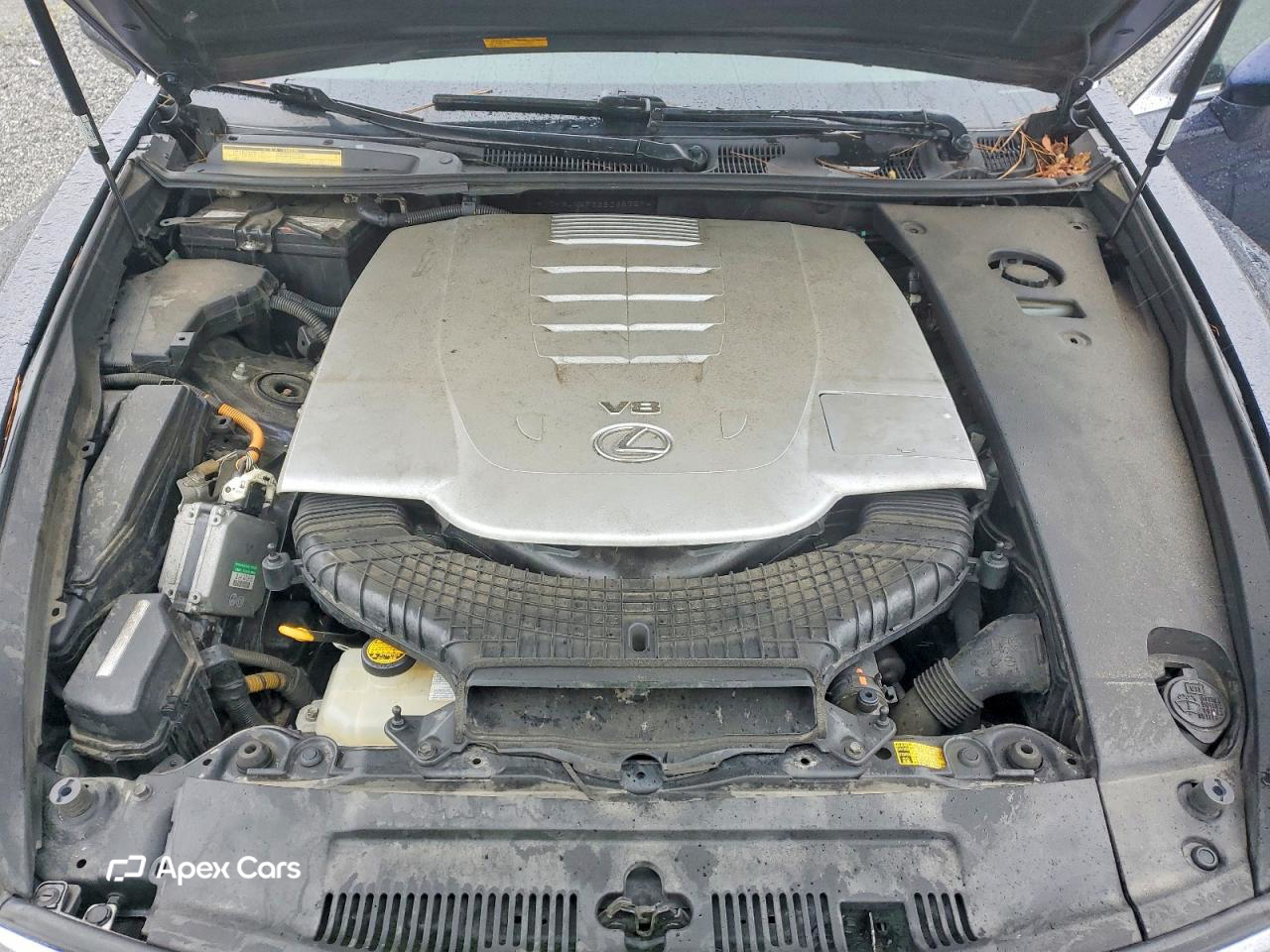 Lexus LS 2008