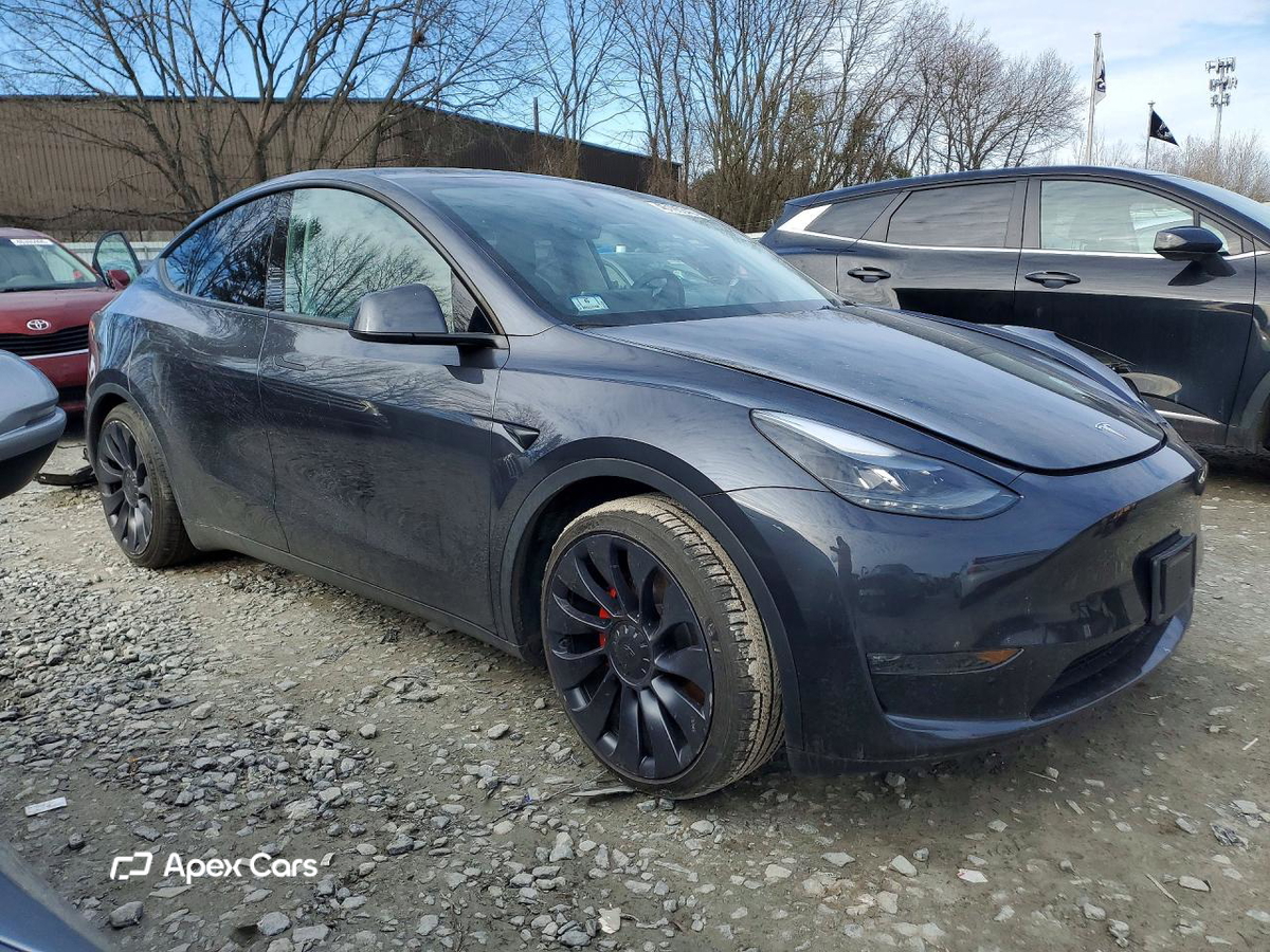 Tesla Model Y 2024