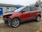 Ford Escape 2016