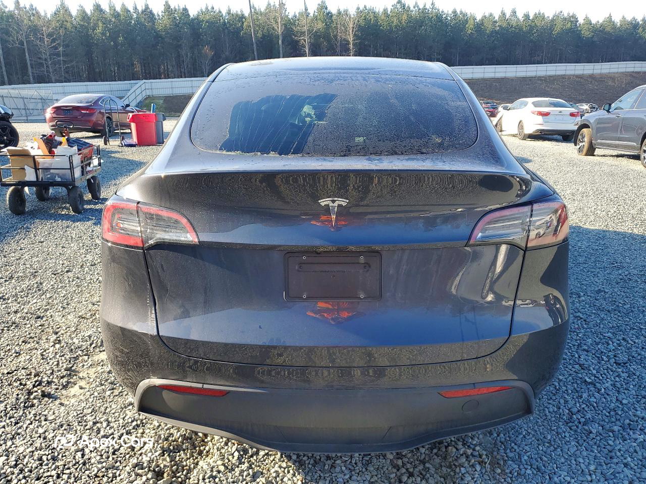 Tesla Model Y 2024