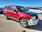 Ford Escape 2012