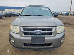 Ford Escape 2010