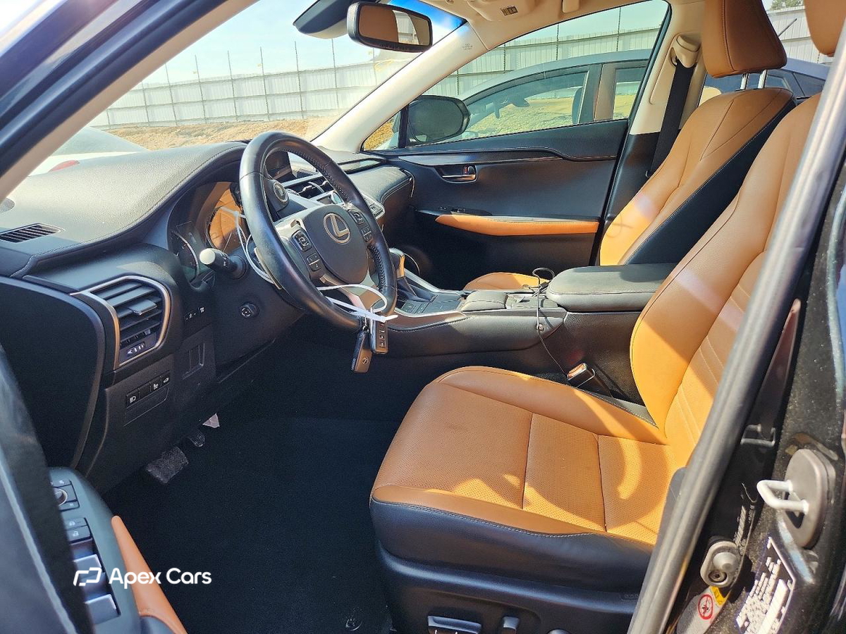 Lexus NX 2019