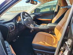 Lexus NX 2019