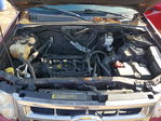 Ford Escape 2010