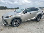 Lexus NX 2020