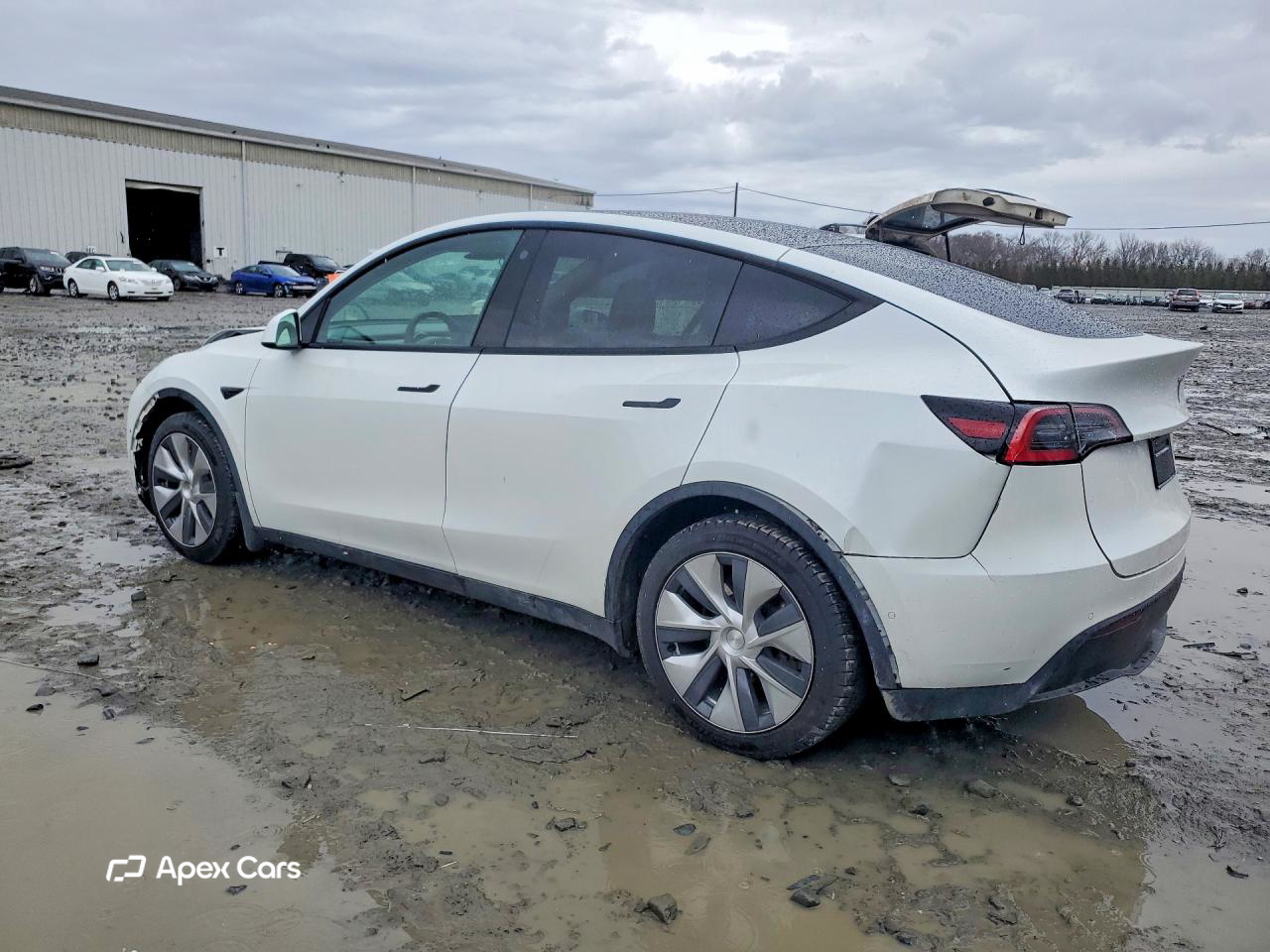 Tesla Model Y 2021