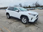 Toyota RAV 4 2021