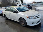 Corolla 2011