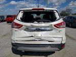 Ford Escape 2016