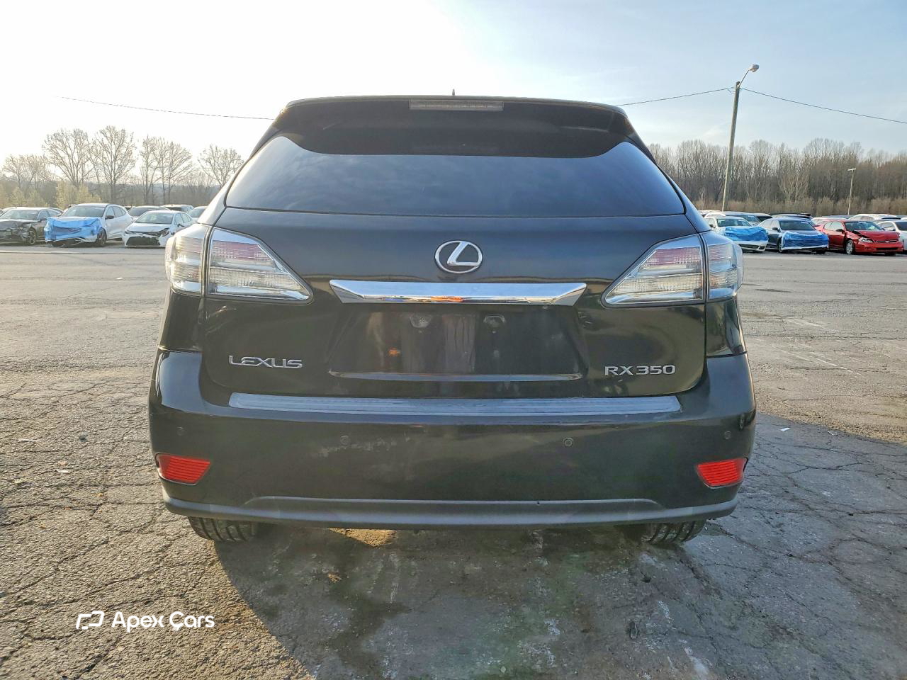 Lexus RX 2010