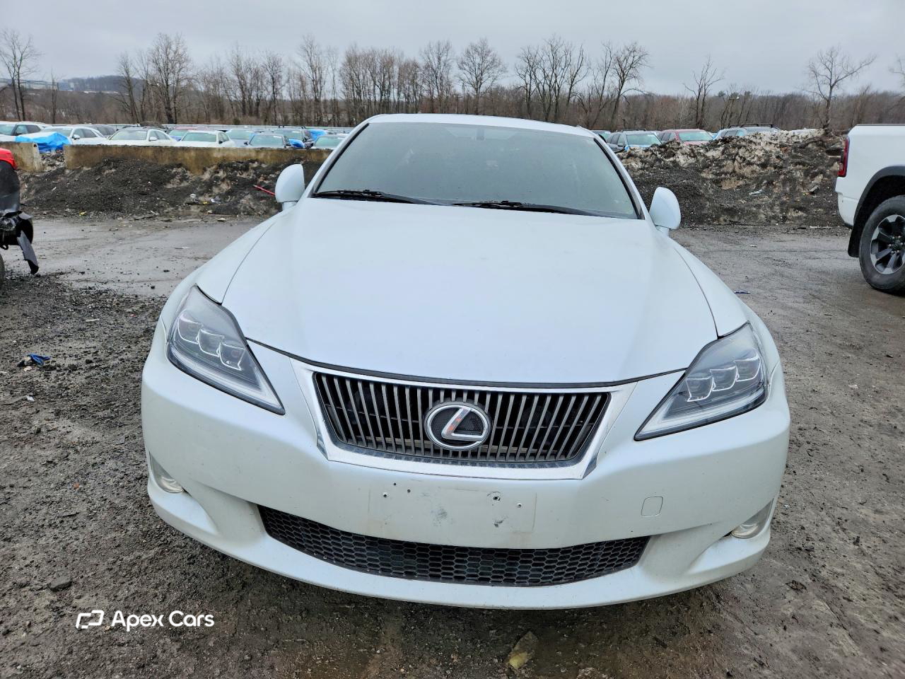 Lexus IS 2010