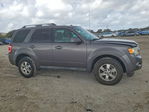 Ford Escape 2011