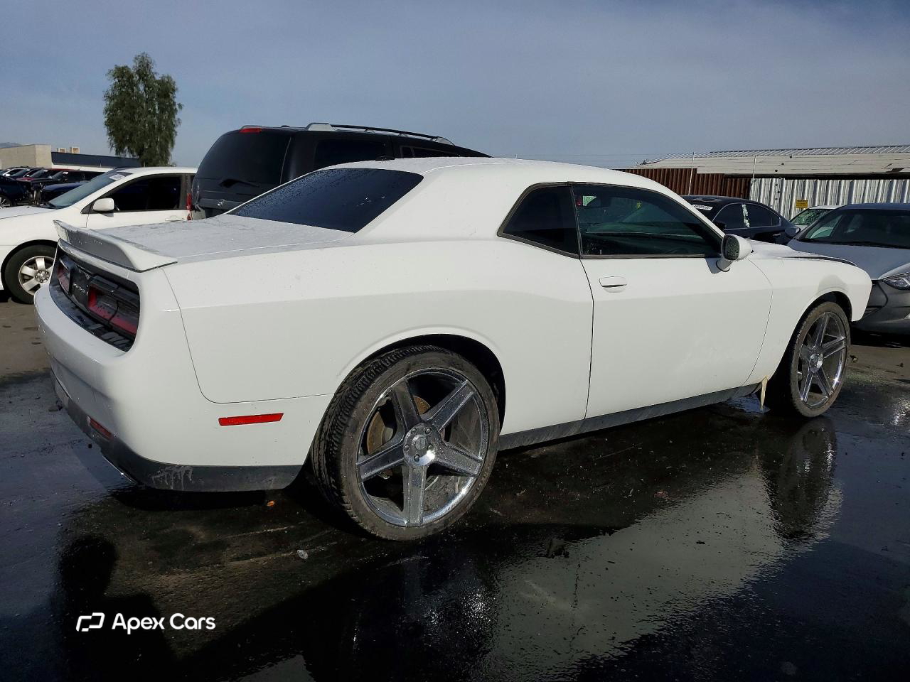 Dodge Challenger 2019