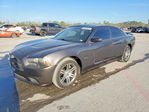 Dodge Charger 2013
