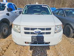 Ford Escape 2011