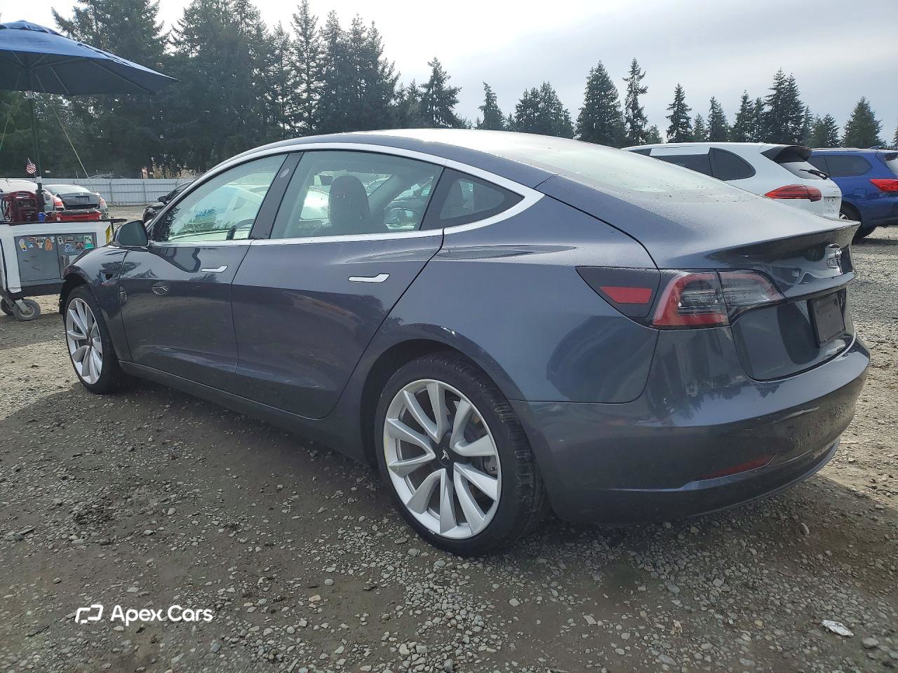 Tesla Model 3 2020