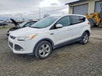 Ford Escape 2013