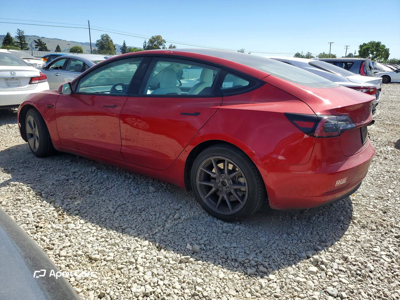 Tesla Model 3 2021