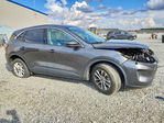 Ford Escape 2020