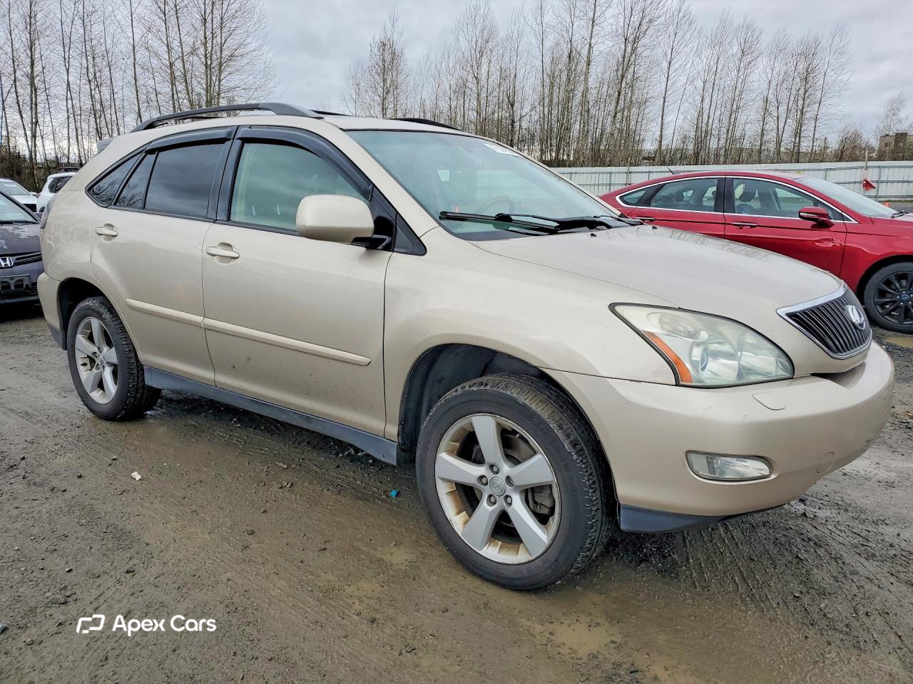 Lexus RX 2004