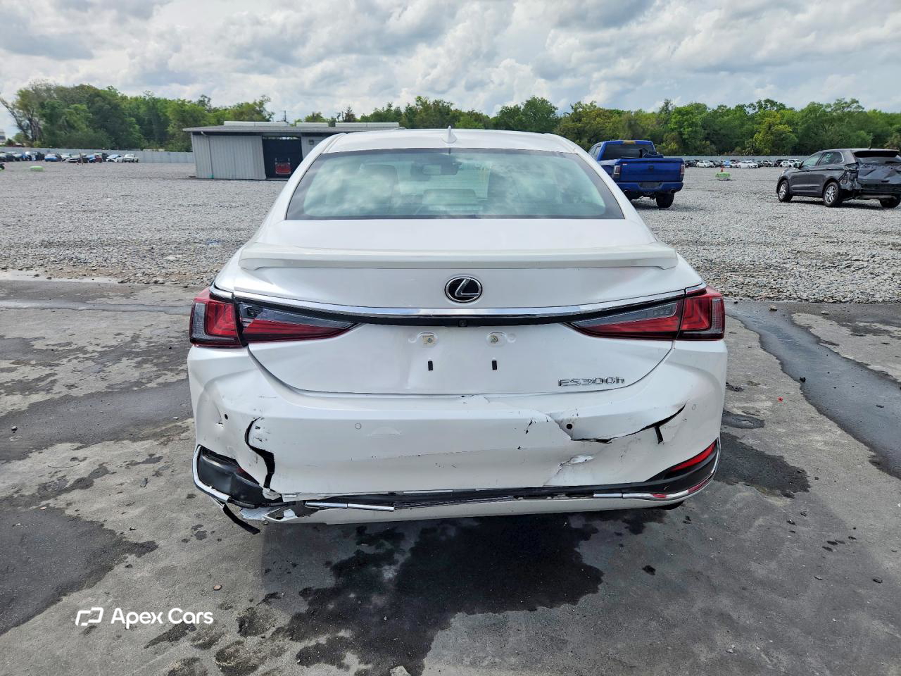 Lexus ES 2025